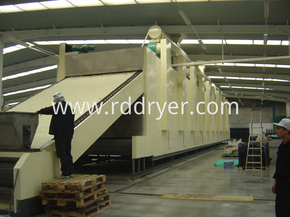 Commercial Vegetable Drier